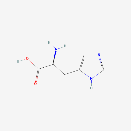 HS1012_L-Histidine